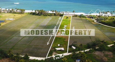 Land,Freehold Sale,1086