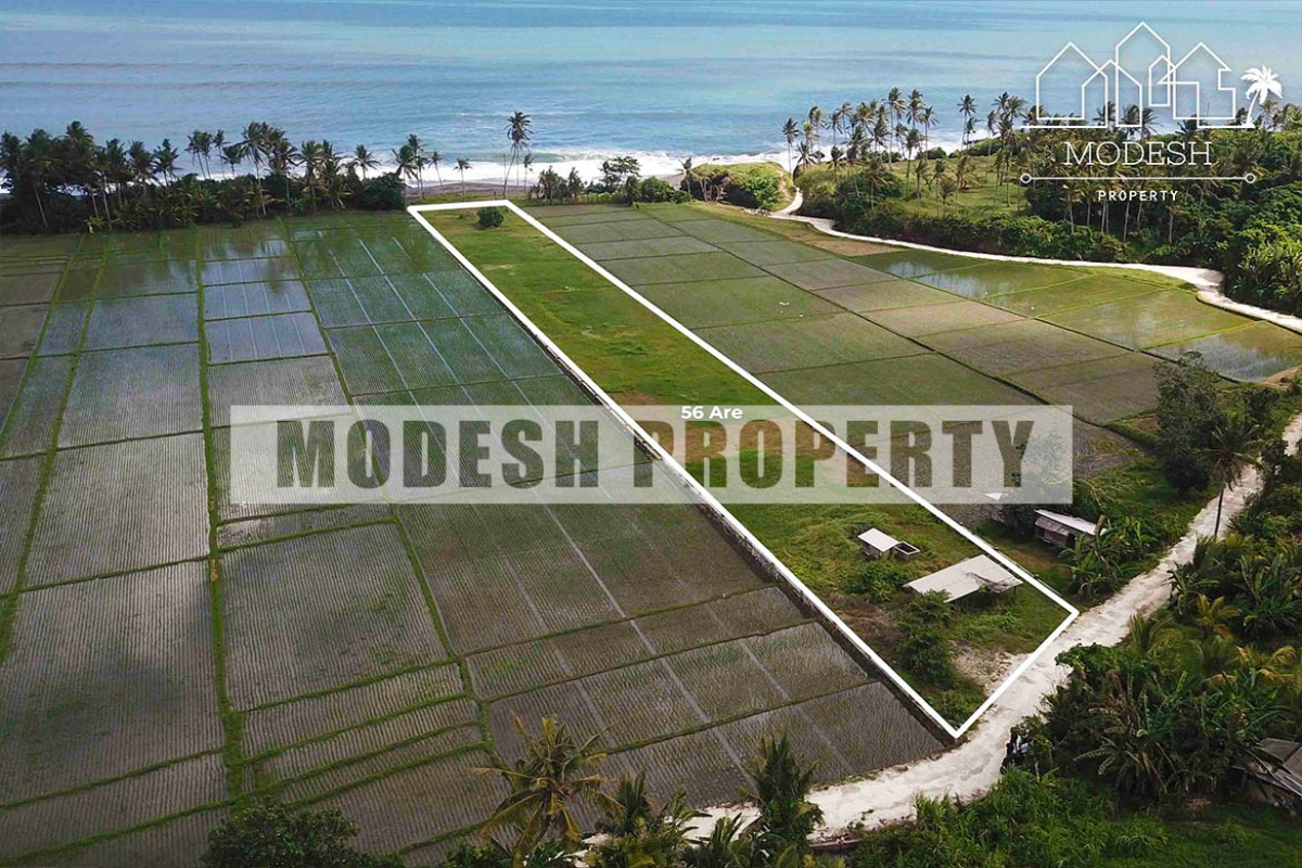 Land,Freehold Sale,1086