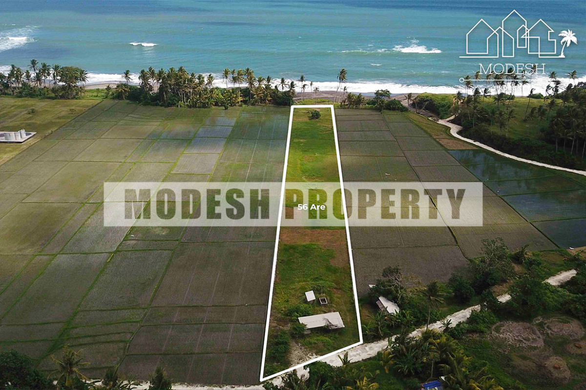 Land,Freehold Sale,1086