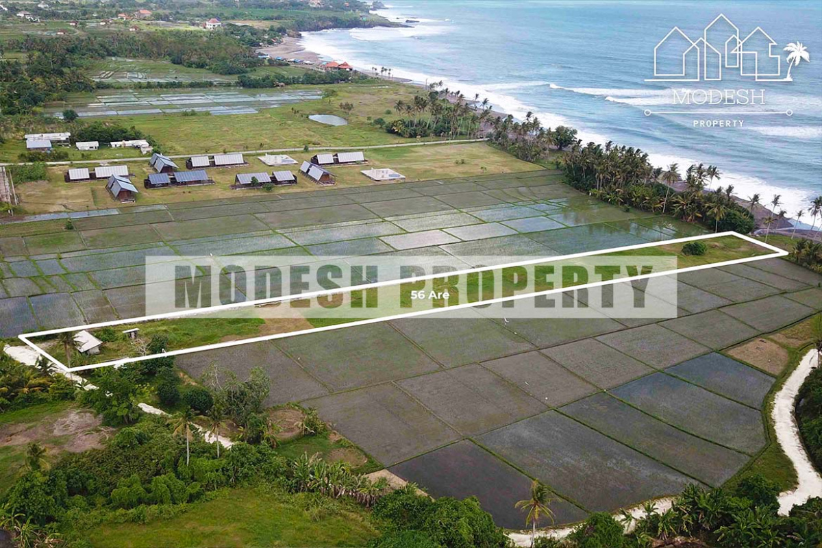 Land,Freehold Sale,1086