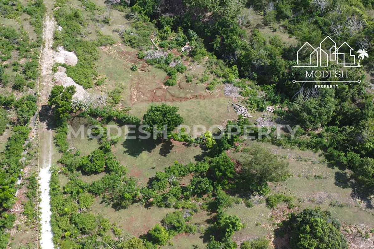 Land,Leasehold Sale,1977