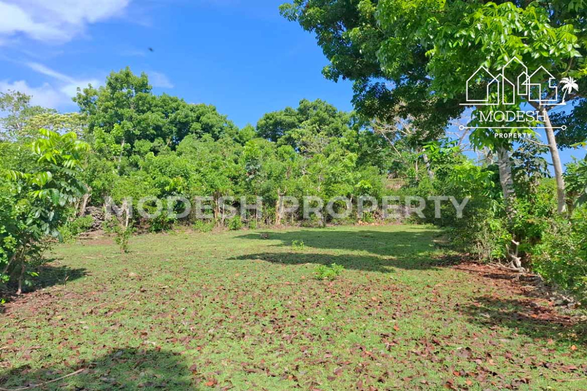 Land,Leasehold Sale,1977