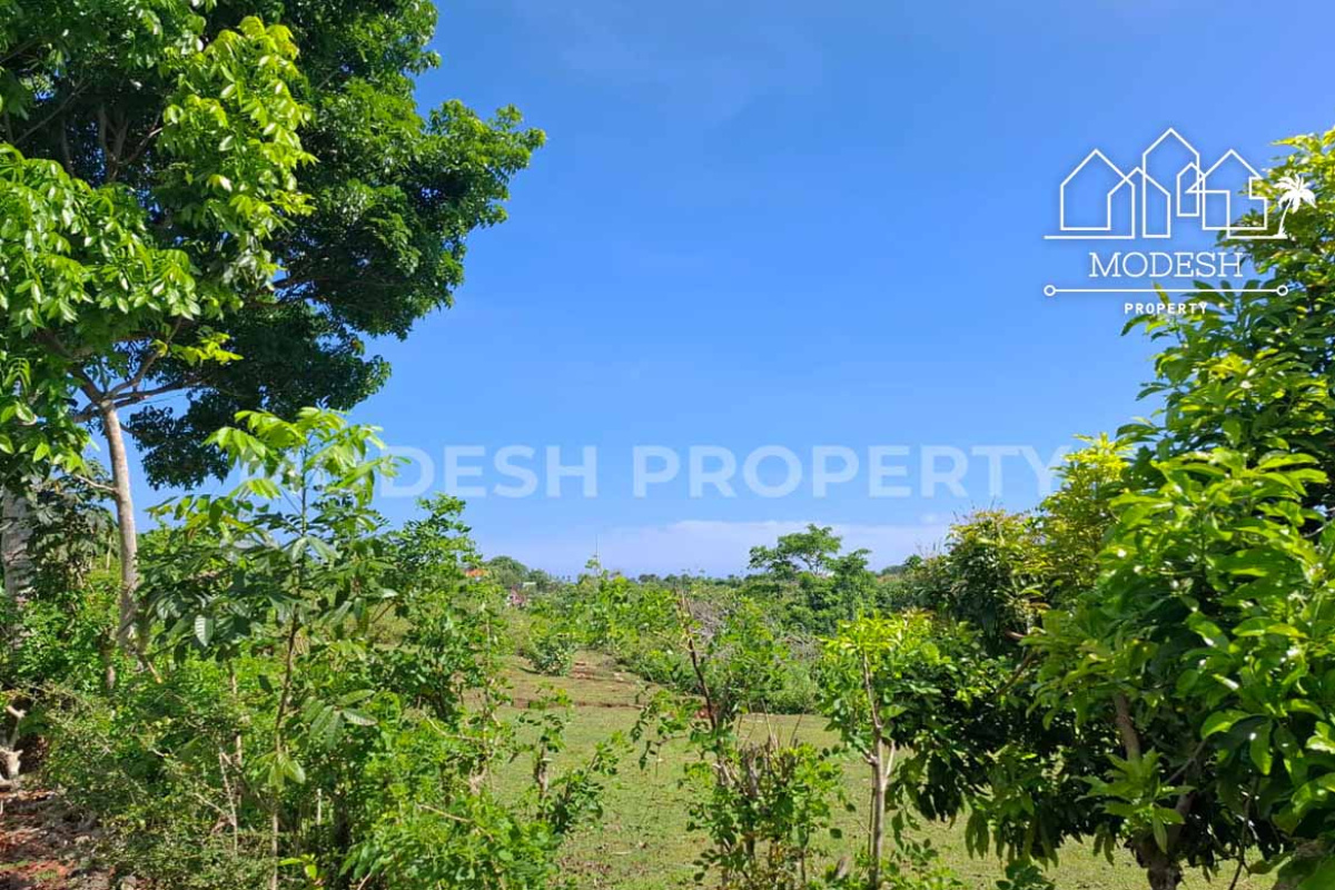 Land,Leasehold Sale,1977