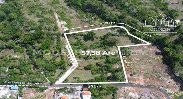 Land,Leasehold Sale,1977