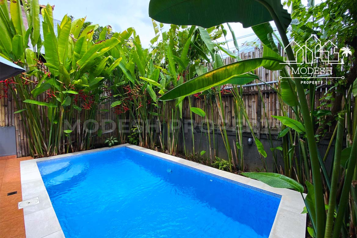 2 Bedrooms Bedrooms, ,2 BathroomsBathrooms,Villa,Monthly Rent,1981