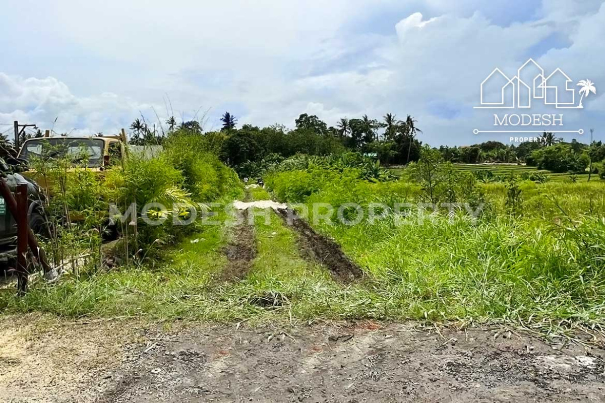 Land,Freehold Sale,1989