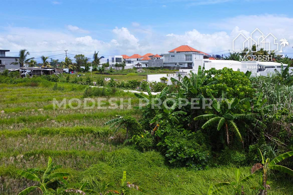 Land,Freehold Sale,1989