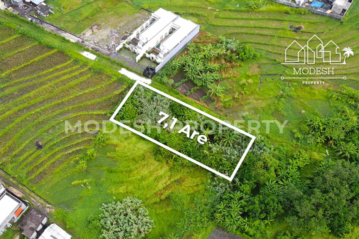 Land,Freehold Sale,1989