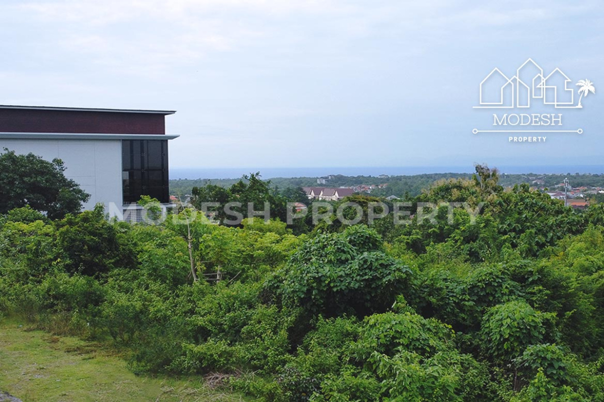 Land,Leasehold Sale,1991