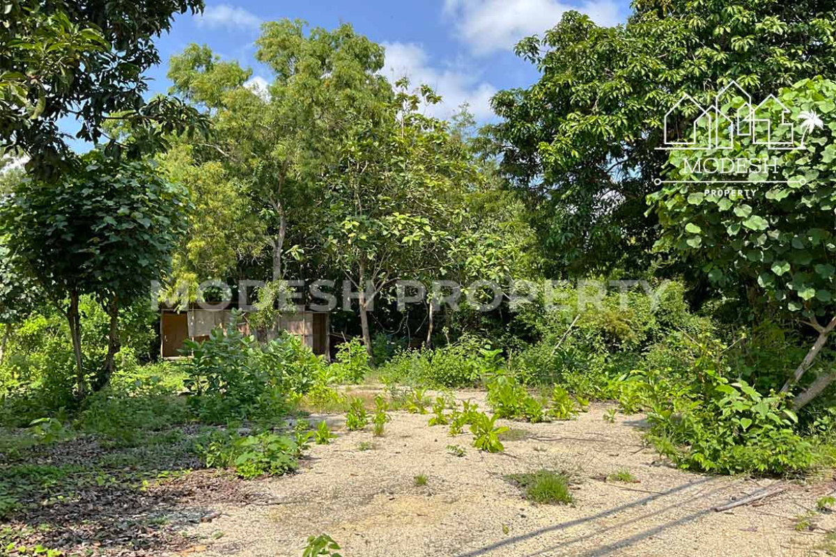 Land,Leasehold Sale,1992