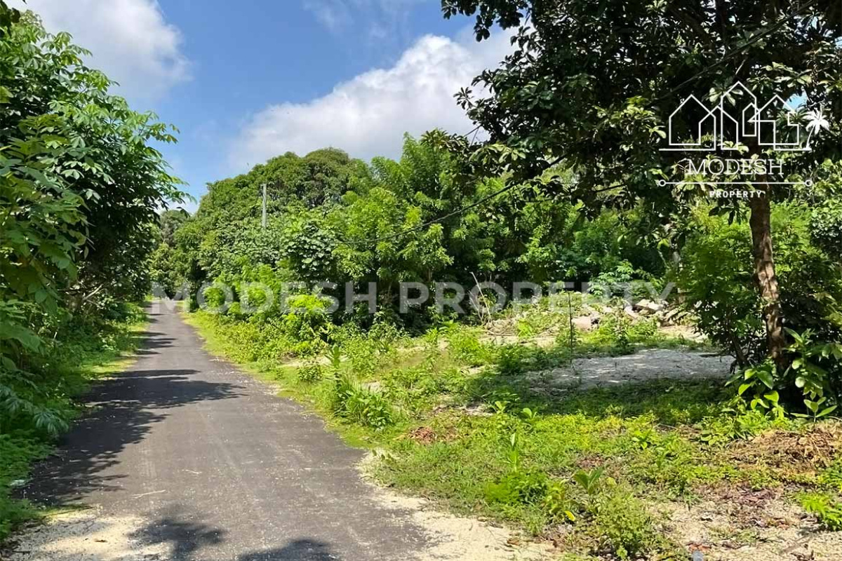 Land,Leasehold Sale,1992