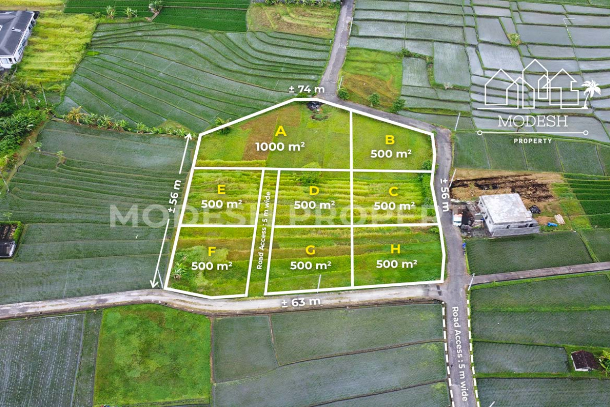 Land,Leasehold Sale,1996