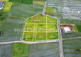 Land,Leasehold Sale,1996