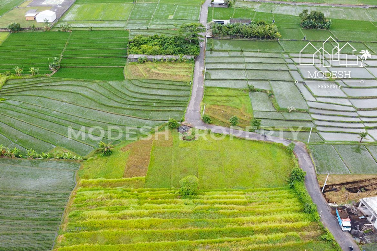 Land,Leasehold Sale,1996