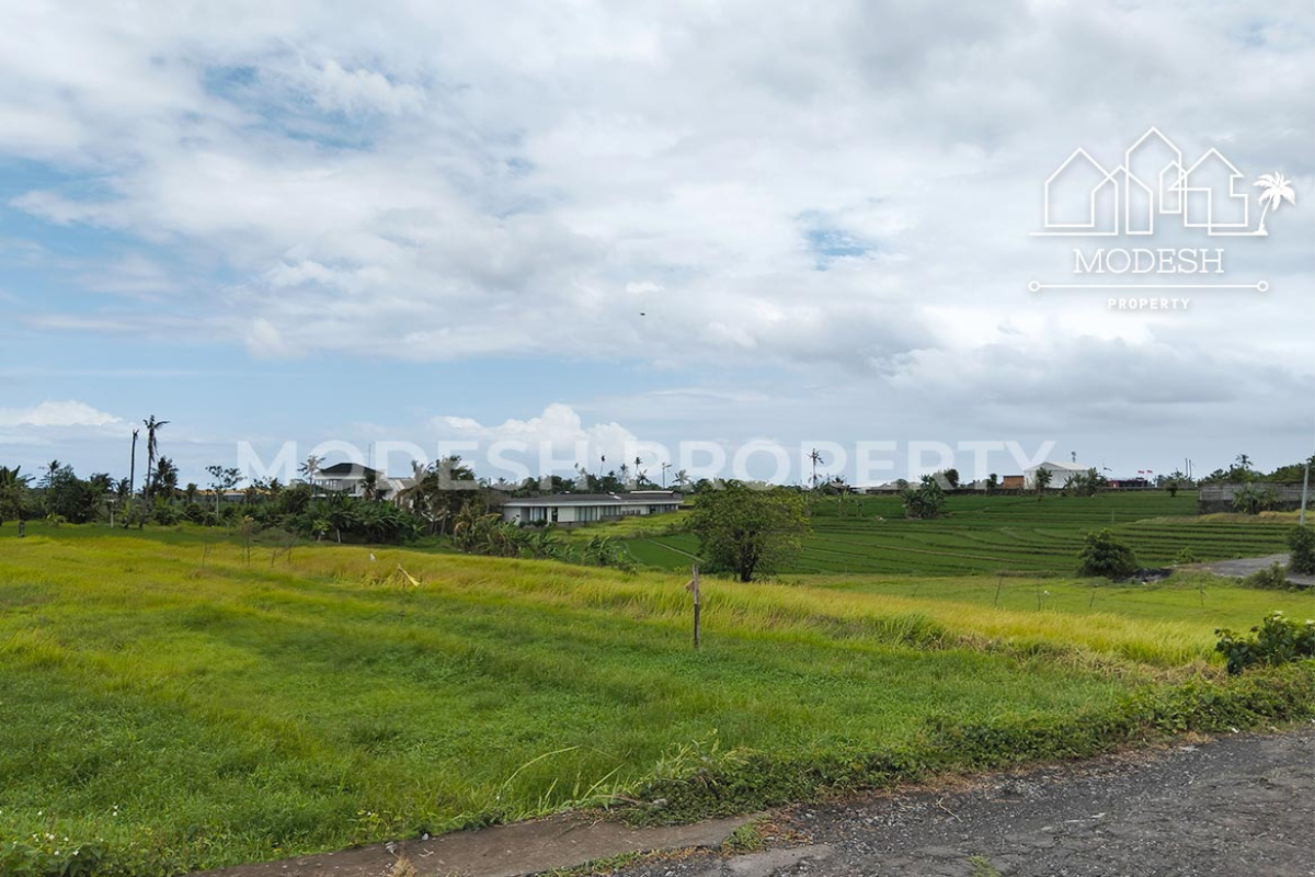 Land,Leasehold Sale,1996
