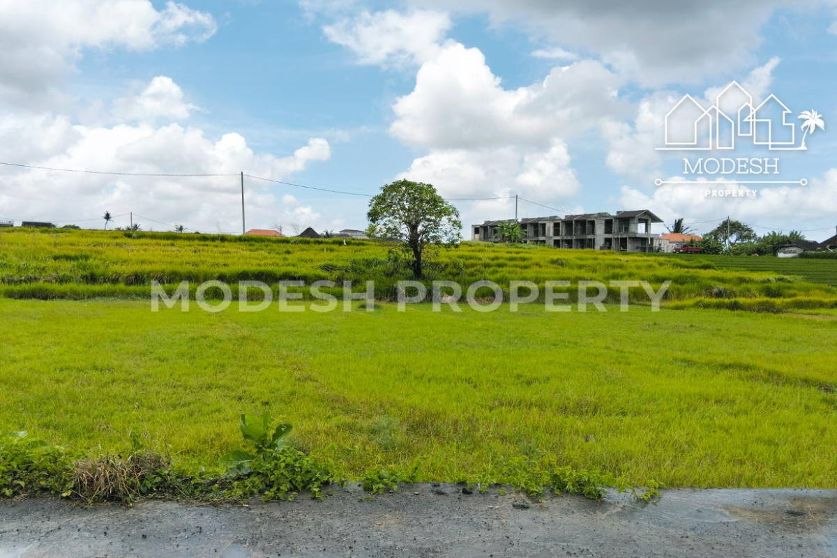 Land,Leasehold Sale,1996