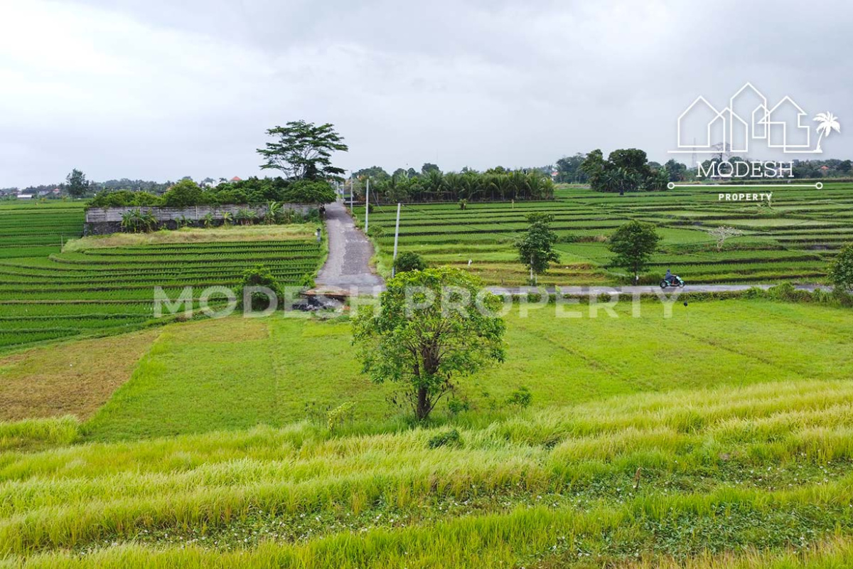 Land,Leasehold Sale,1996