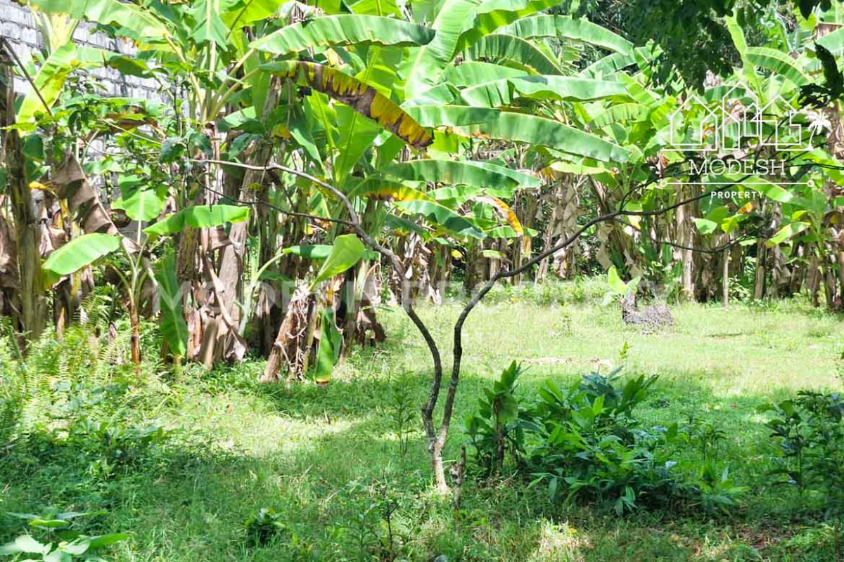Land,Leasehold Sale,2001