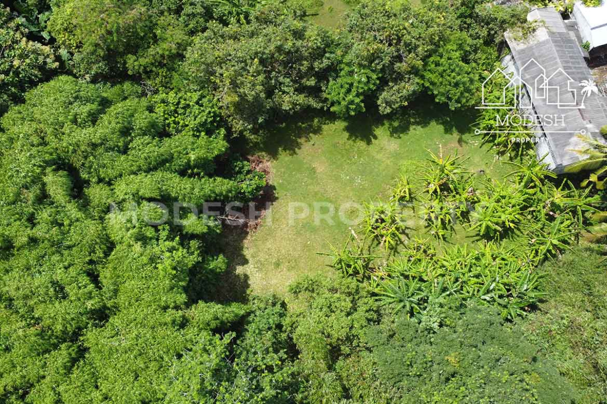 Land,Leasehold Sale,2001