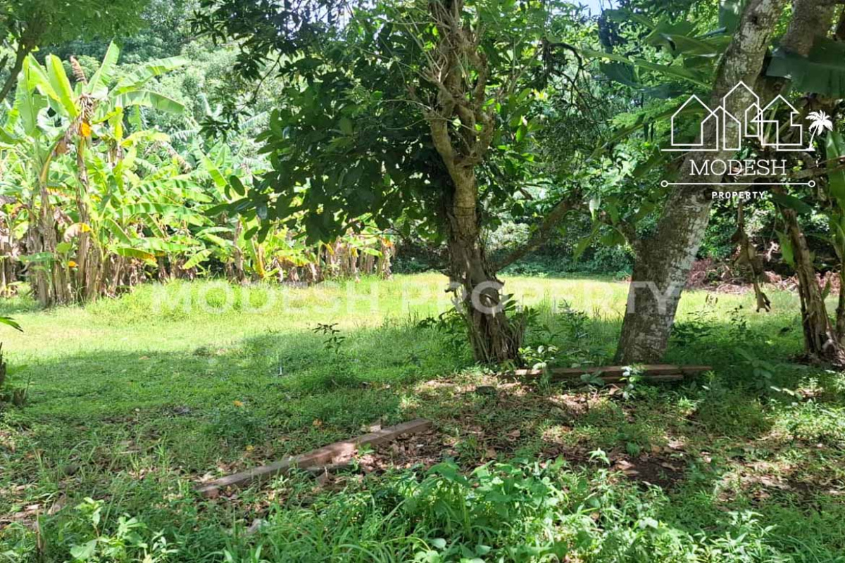 Land,Leasehold Sale,2001