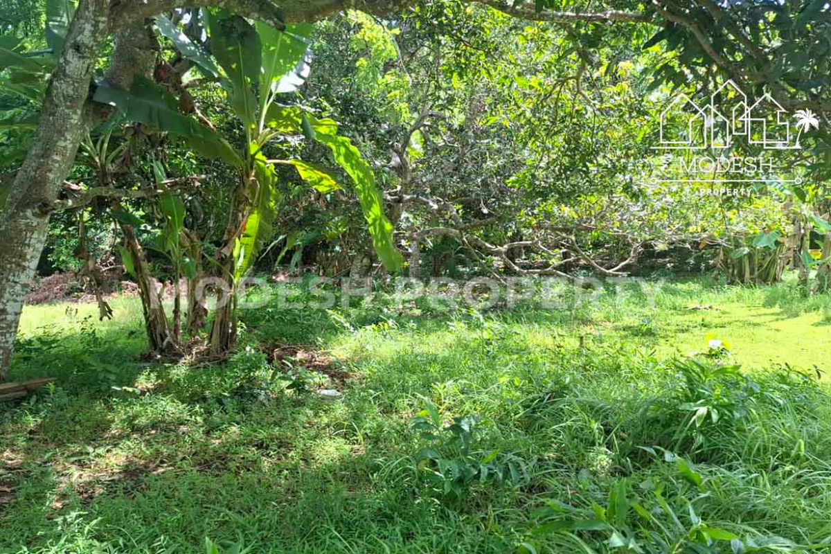 Land,Leasehold Sale,2001