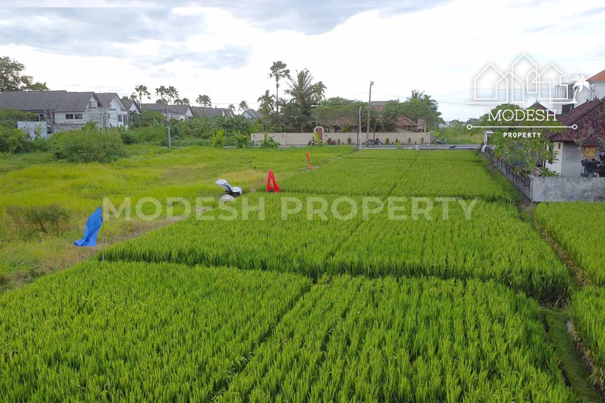 Land,Leasehold Sale,2007