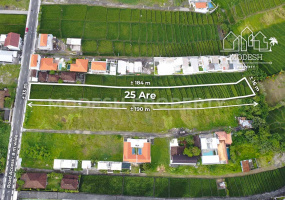 Land,Leasehold Sale,2007