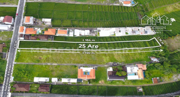 Land,Leasehold Sale,2007