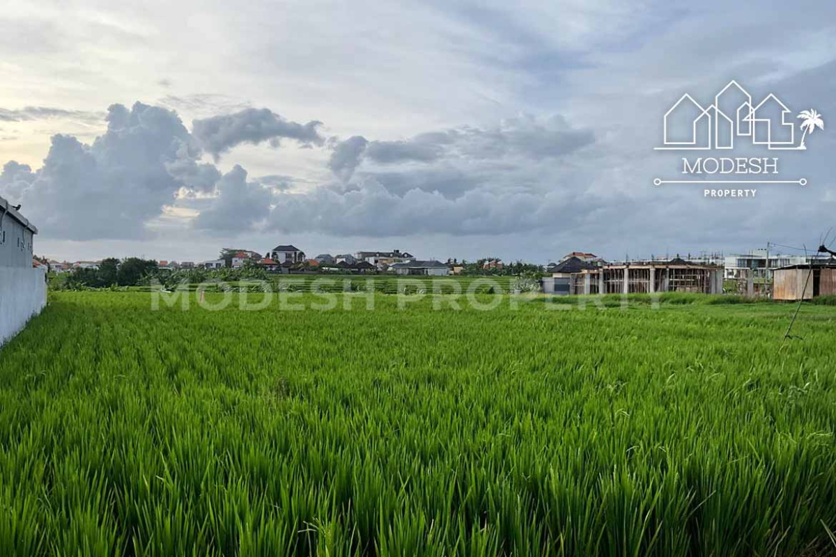Land,Leasehold Sale,2008