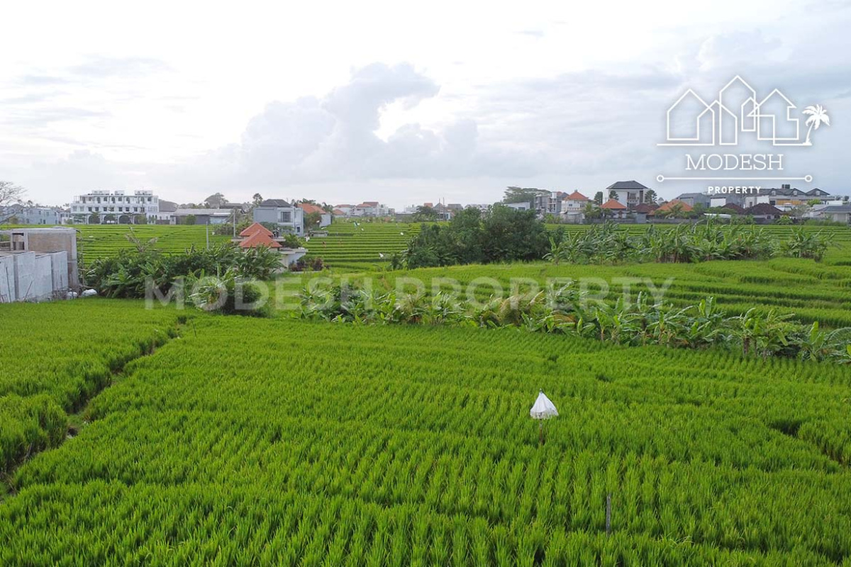 Land,Leasehold Sale,2008