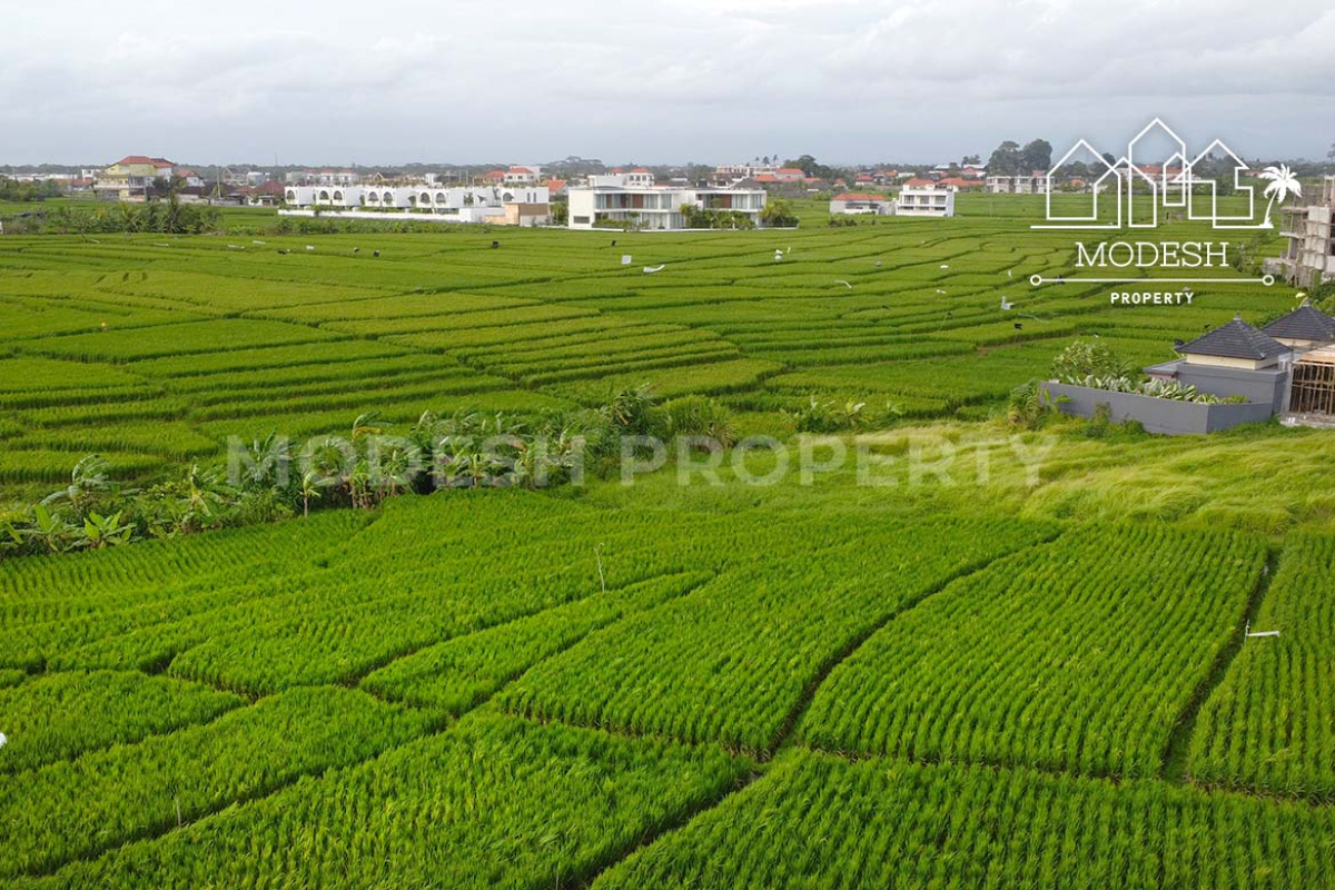 Land,Leasehold Sale,2008