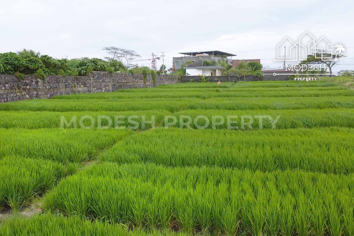 Land,Leasehold Sale,2009
