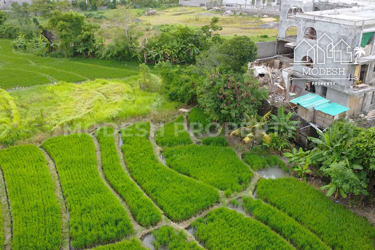 Land,Leasehold Sale,2009
