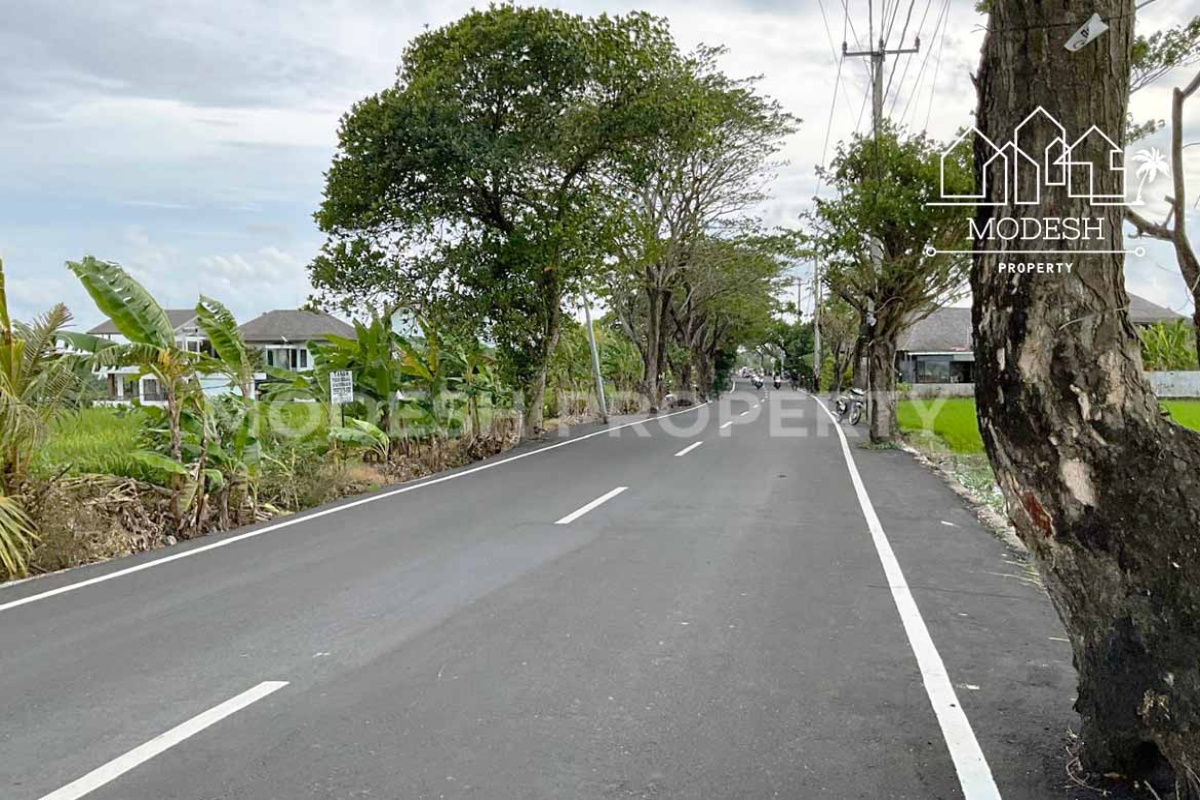 Land,Leasehold Sale,2009
