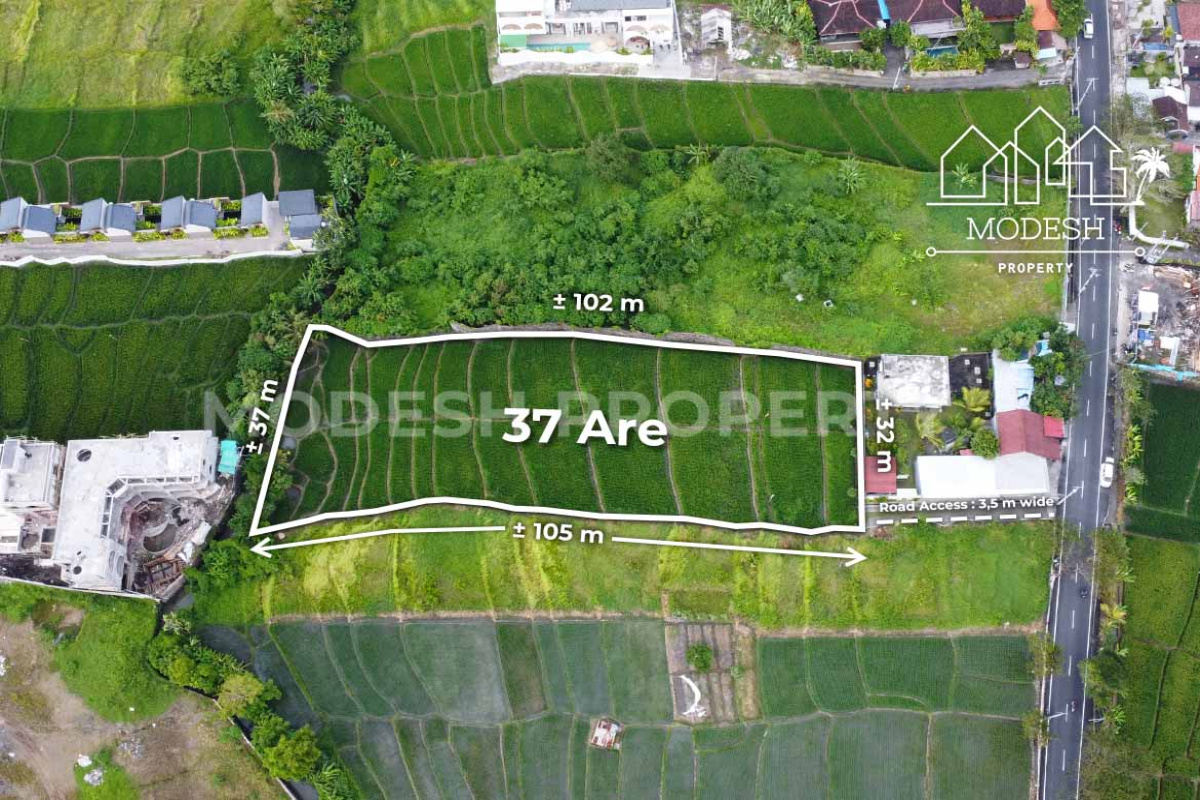 Land,Leasehold Sale,2009