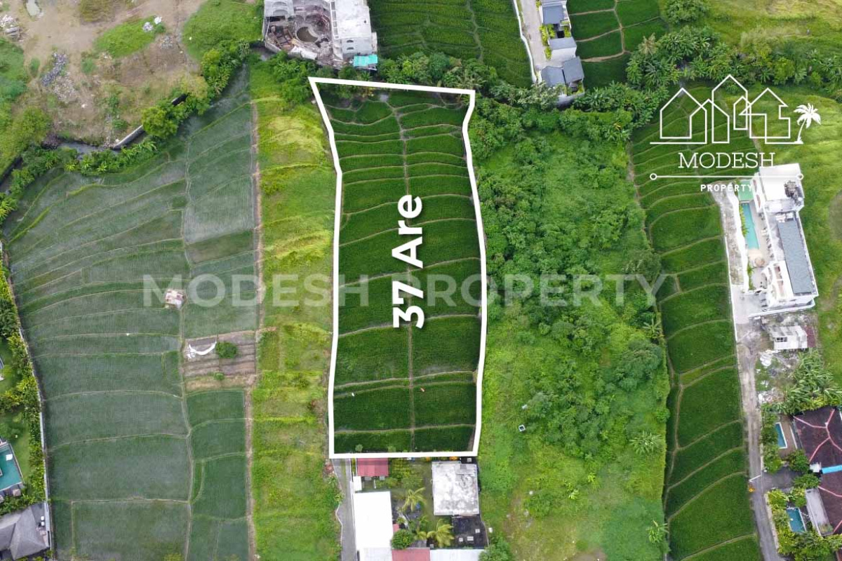 Land,Leasehold Sale,2009