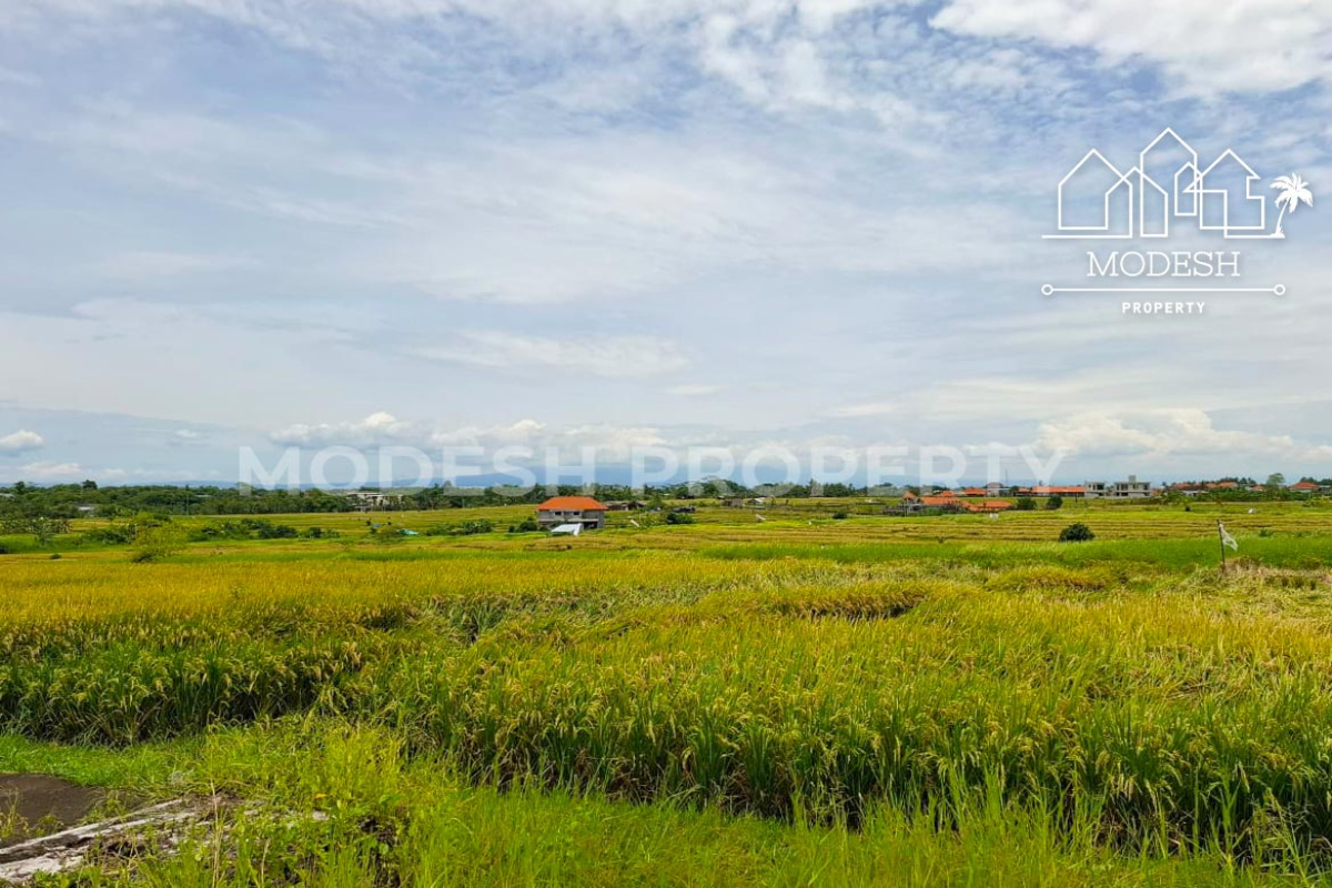 Land,Leasehold Sale,2016
