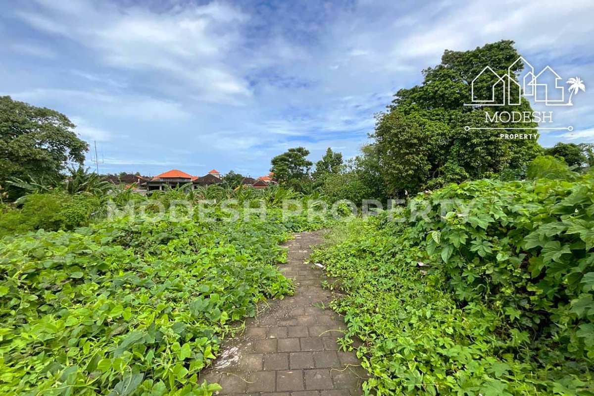 Land,Leasehold Sale,2024
