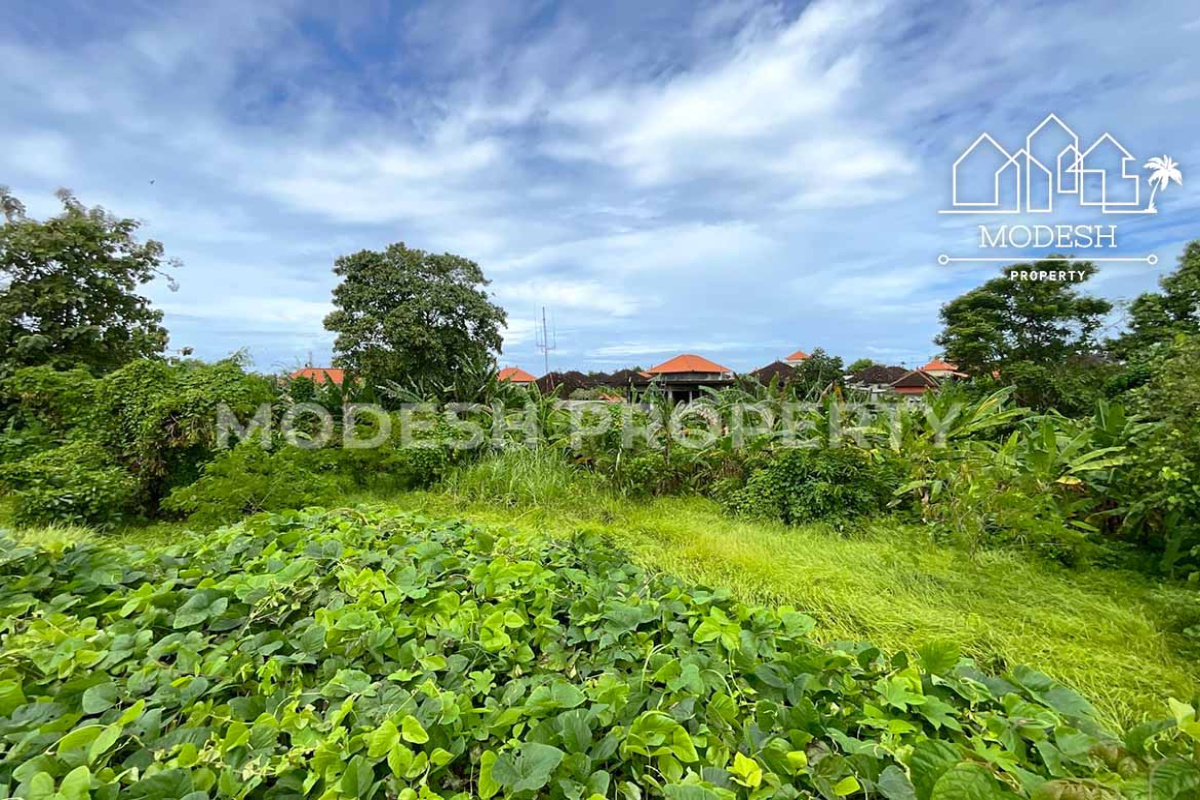 Land,Leasehold Sale,2024
