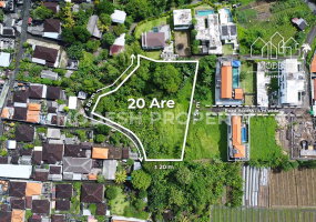 Land,Leasehold Sale,2024