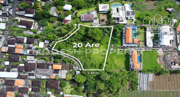 Land,Leasehold Sale,2024