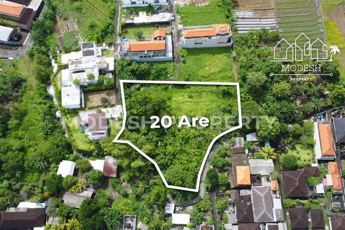 Land,Leasehold Sale,2024