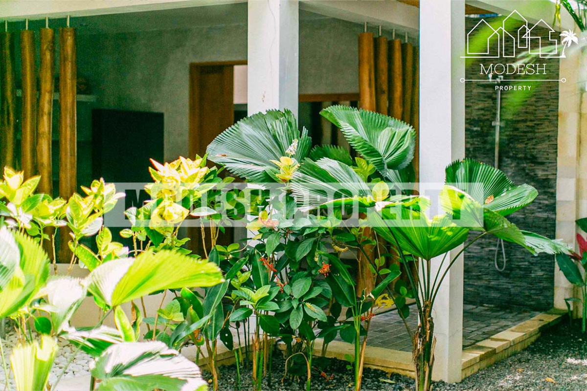 3 Bedrooms Bedrooms, ,3 BathroomsBathrooms,Villa,Leasehold Sale,1095