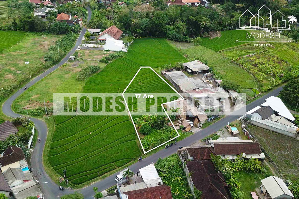 Land,Freehold Sale,1105