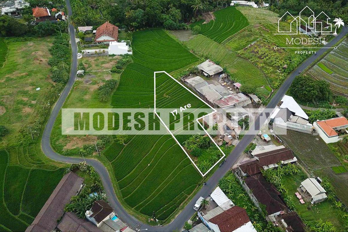 Land,Freehold Sale,1105