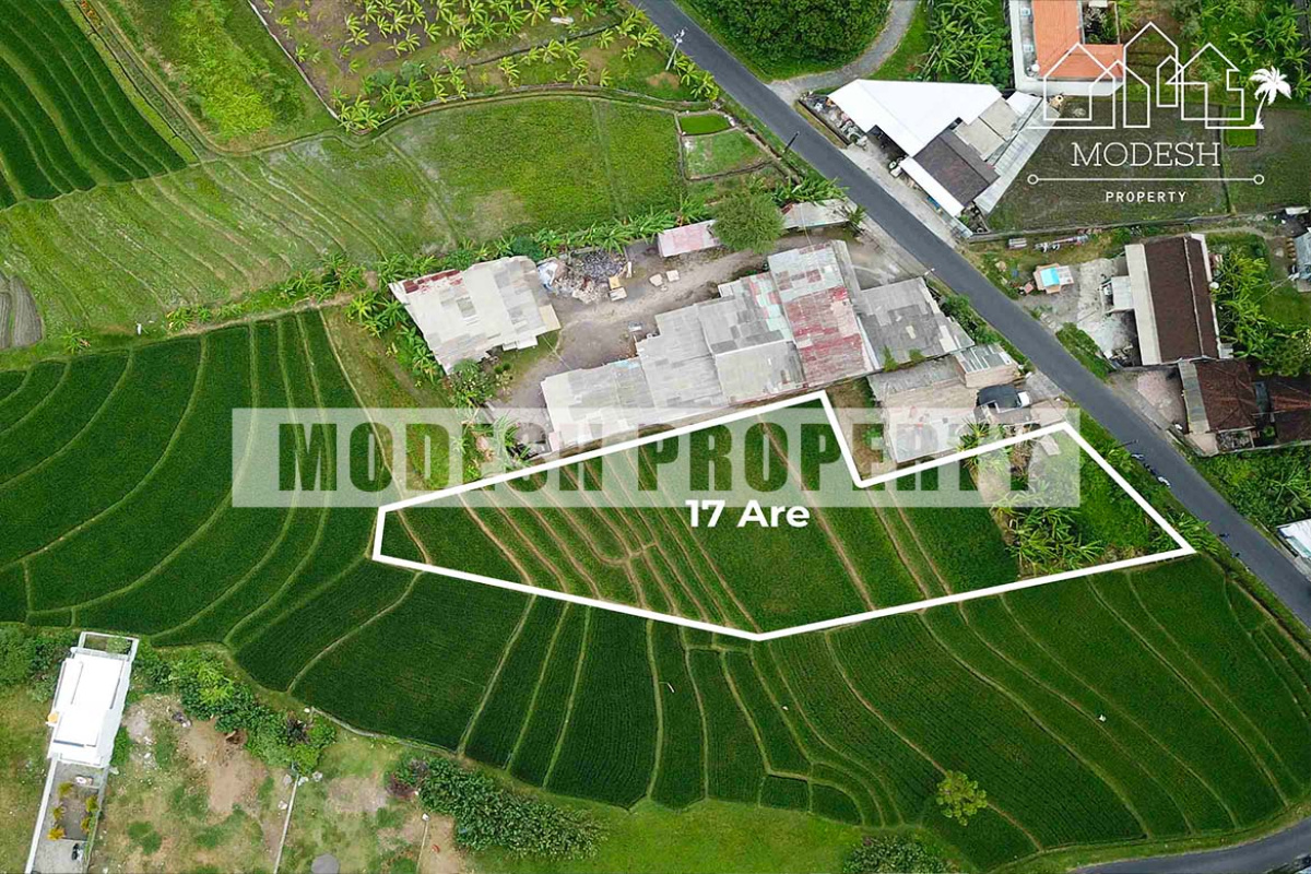 Land,Freehold Sale,1105