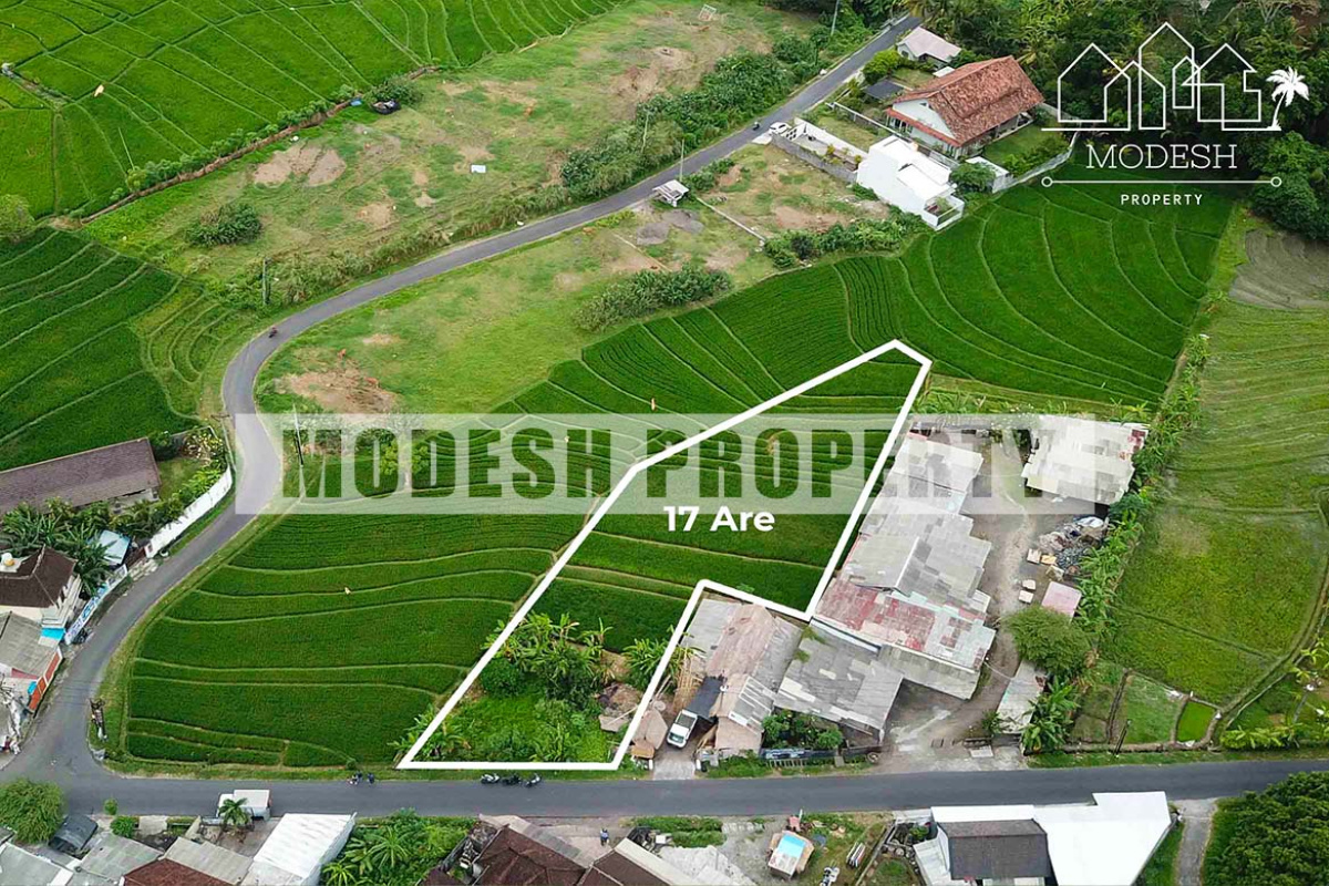 Land,Freehold Sale,1105