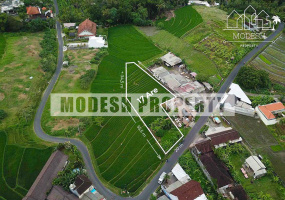 Land,Freehold Sale,1105