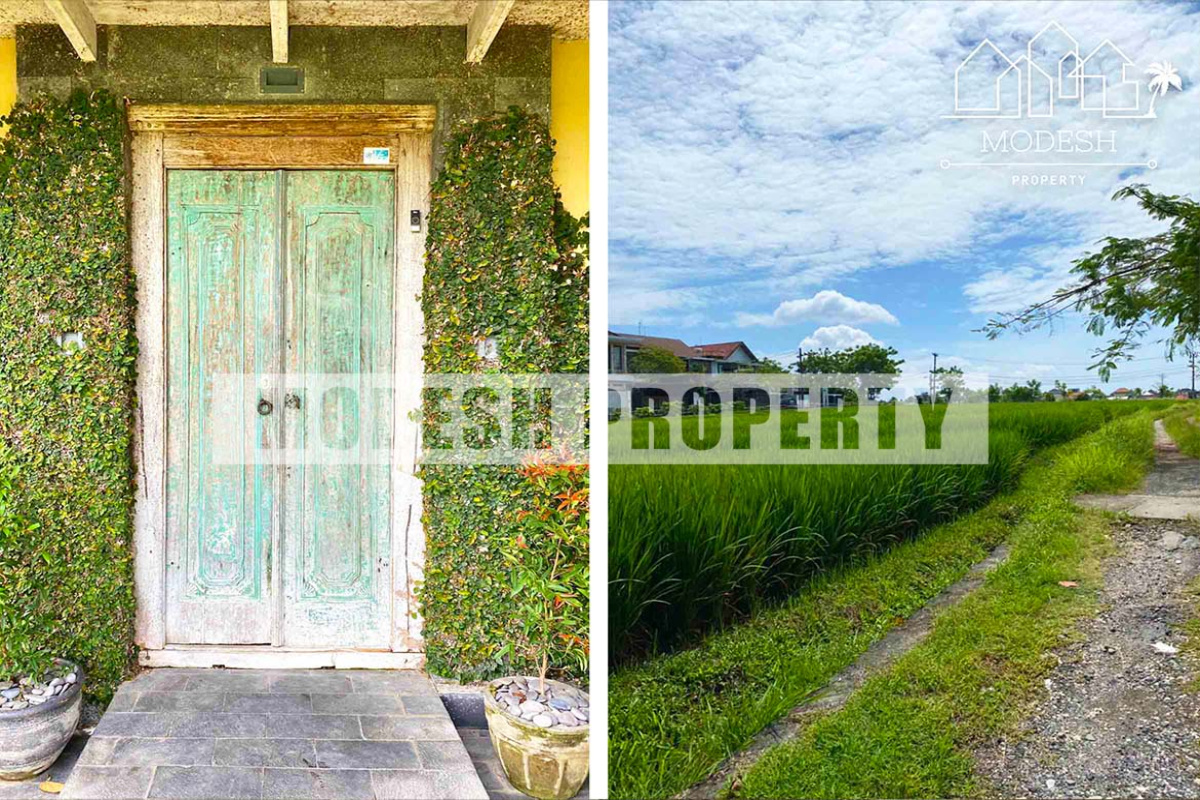 2 Bedrooms Bedrooms, ,2 BathroomsBathrooms,Villa,Yearly Rent,1125