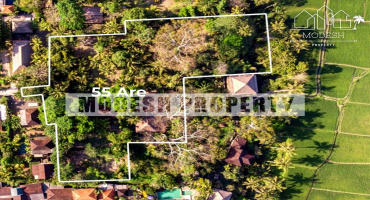 Land,Leasehold Sale,1141